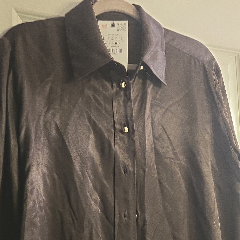 Zara new W/Tags RICH 🤑 BROWN Women's Blouse large